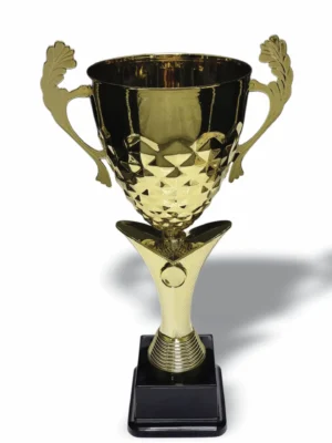 Primrose Metal and Plastic Cup 410mm Trophy Guy www.trophyguy.co.za Primrose Metal and Plastic Cup 410mm