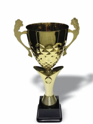 Primrose Metal and Plastic Cup 370mm Trophy Guy www.trophyguy.co.za Primrose Metal and Plastic Cup 370mm