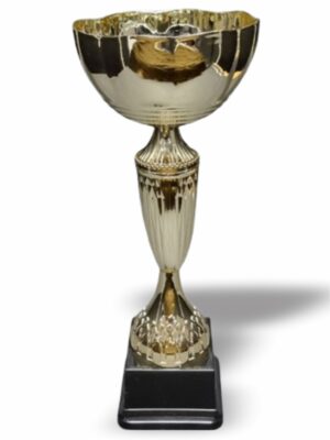 Iris Metal and Plastic Cup 350mm Trophy Guy www.trophyguy.co.za Iris Metal and Plastic Cup 350mm