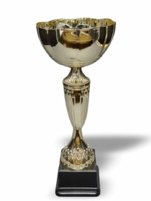 Iris Metal and Plastic Cup 300mm Trophy Guy www.trophyguy.co.za Iris Metal and Plastic Cup 300mm