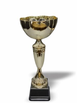 Iris Metal and Plastic Cup 250mm Trophy Guy www.trophyguy.co.za Iris Metal and Plastic Cup 250mm