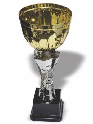 Carnation Metal and Plastic Cup 330mm Trophy Guy www.trophyguy.co.za Carnation Metal and Plastic Cup 330mm