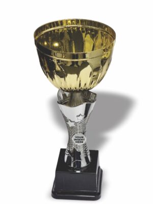 Carnation Metal and Plastic Cup 290mm Trophy Guy www.trophyguy.co.za Carnation Metal and Plastic Cup 290mm