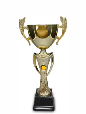 Violet Metal and Plastic Cup 310mm Trophy Guy www.trophyguy.co.za Violet Metal and Plastic Cup 310mm