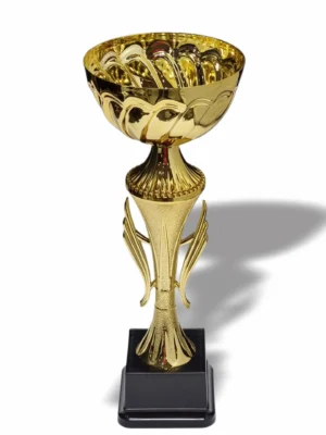 Lilac Metal and Plastic Cup 290mm Trophy Guy www.trophyguy.co.za Lilac Metal and Plastic Cup 290mm