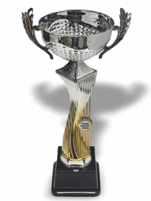 Lanender Metal and Plastic Cup 390mm Trophy Guy www.trophyguy.co.za Lanender Metal and Plastic Cup 390mm