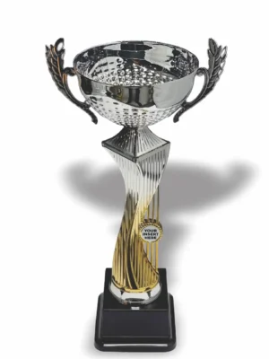 Lanender Metal and Plastic Cup 340mm Trophy Guy www.trophyguy.co.za Lanender Metal and Plastic Cup 340mm