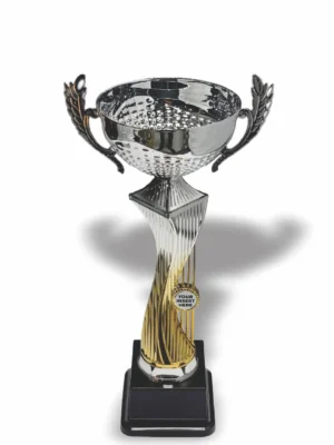 Lanender Metal and Plastic Cup 290mm Trophy Guy www.trophyguy.co.za Lanender Metal and Plastic Cup 290mm