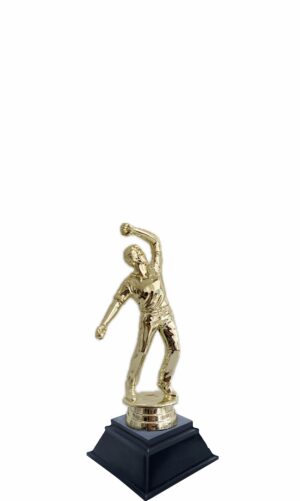 CRICKET THEME TROPHY 160MM HIGH