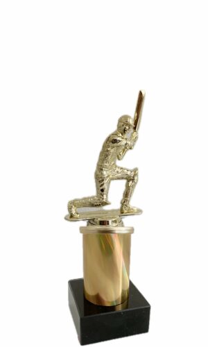 CRICKET THEME TROPHY 210MM HIGH