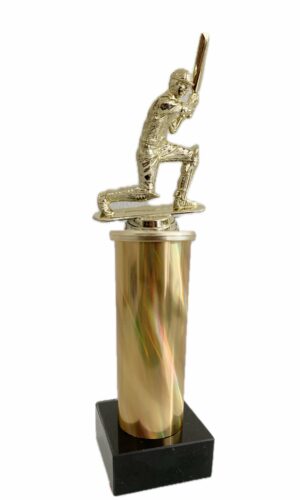 CRICKET THEME TROPHY 330MM HIGH