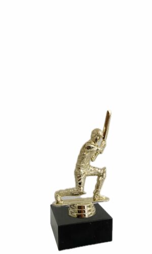 CRICKET THEME TROPHY 150MM HIGH