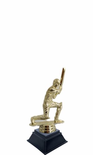 CRICKET THEME TROPHY 160MM HIGH