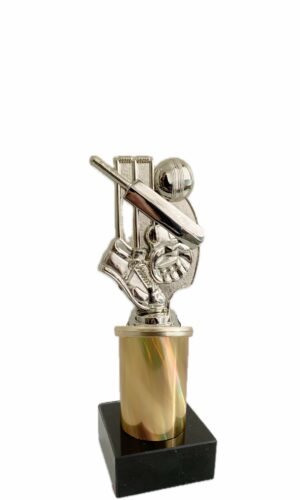 CRICKET THEME TROPHY 200MM