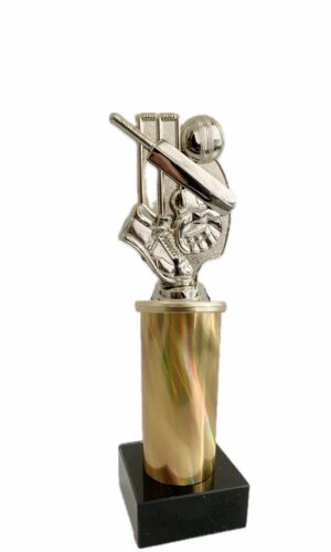 CRICKET THEME TROPHY 260MM HIGH