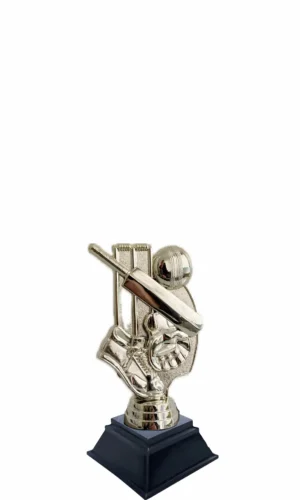 CRICKET THEME TROPHY 150MM HIGH