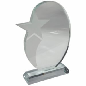 FROSTED STAR GLASS TROPHY 280MM