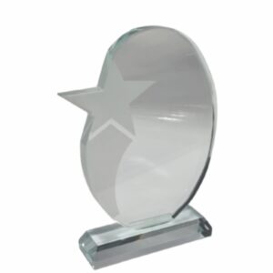 FROSTED STAR GLASS TROPHY 240MM