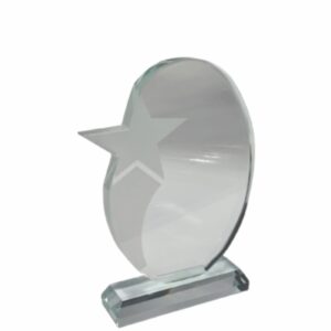 FROSTED STAR GLASS TROPHY 200MM